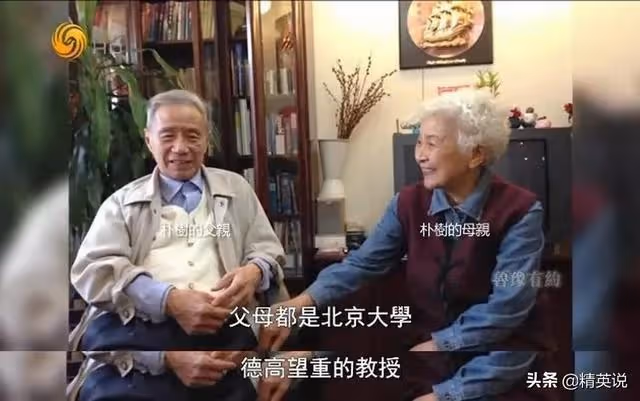 北大院士「雞娃」失敗:人生偏航,決心丁克,歌手朴樹後悔了嗎?