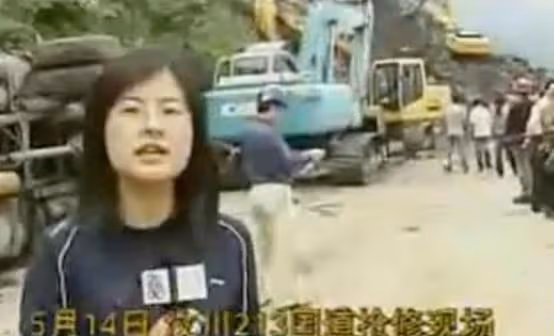著名央視主持人張泉靈:被大18歲丈夫寵成寶,辭職後投資變富婆