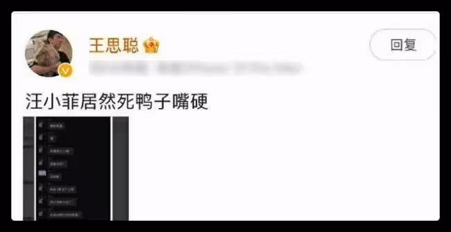 王思聰也下場吃瓜,炮轟汪小菲是死鴨子嘴硬,曬聊天記錄信息量大