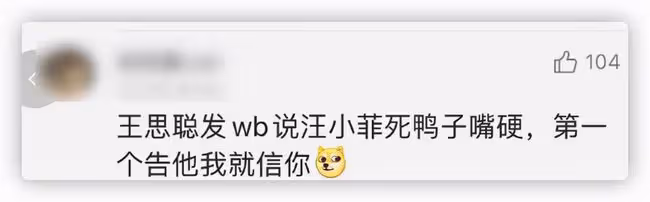 王思聰也下場吃瓜,炮轟汪小菲是死鴨子嘴硬,曬聊天記錄信息量大