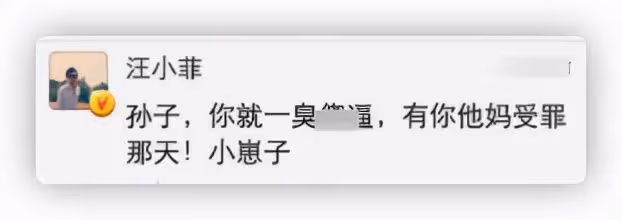 王思聰也下場吃瓜，炮轟汪小菲是死鴨子嘴硬，曬聊天記錄信息量大