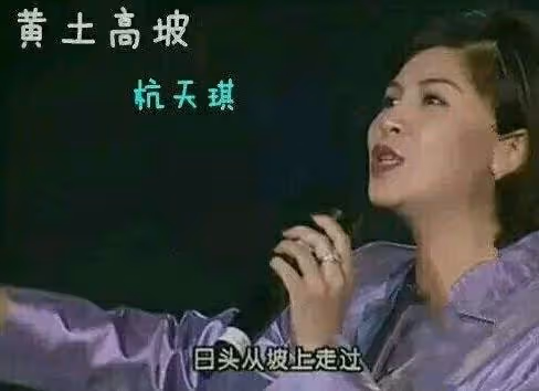 23歲春晚一夜爆紅,卻被外國男人「騙財騙色」的杭天琪,如今如何了