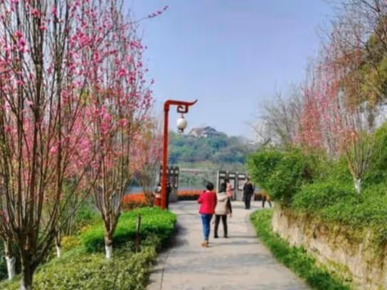 姑娘嫁單親家庭，婚後姑娘接婆婆養老遭拒，婆婆：不想連累你們