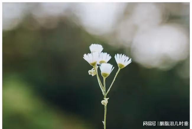 已婚女人寫給丈夫的一封信:催我生二胎?咱們還是離婚吧