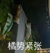 礦泉水男星和出事鋼琴家的瓜!