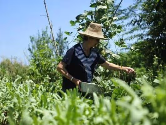姑娘第一次去男友家,男友母親讓姑娘刷碗,姑娘:我不是你家僕人