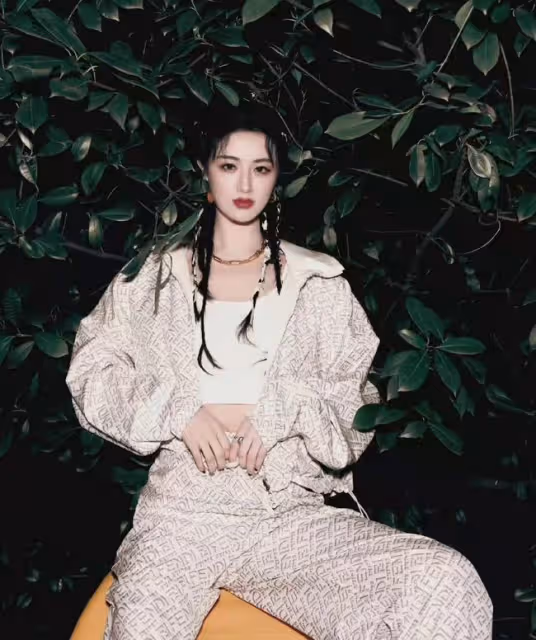 薇婭偷逃稅被罰13.41億!董海峰替妻道歉:專業稅務統籌有問題!