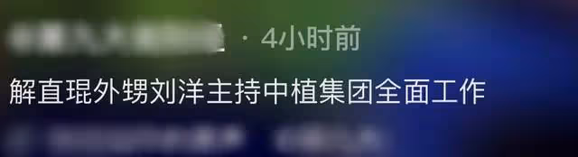 毛阿敏老公離世3天後,外甥劉洋正式接管萬億集團,發聲明引熱議