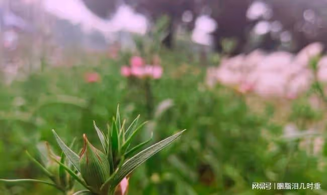 老公不顧反對,硬將偏心的婆婆接回家,我二話不說帶走女兒離婚了