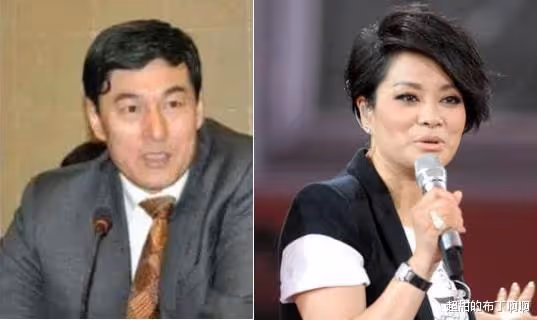 毛阿敏:丈夫突然離世留下260億遺產和未成年兒女,她該何去何從