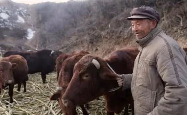 6旬老人靠偷度日,出獄後妻離子散無所事事,脫軌20年後重操舊業