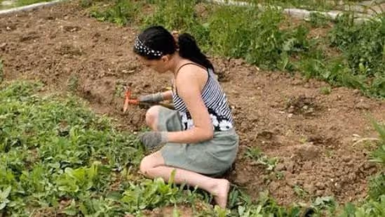 他是50歲的老光棍,娶了個漂亮媳婦後,揚言自己被騙了