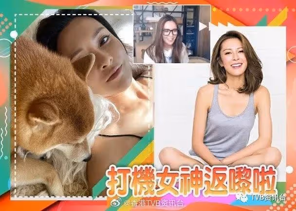 張曦雯出關曬小背心同愛犬重聚！網民：好想做她的小狗