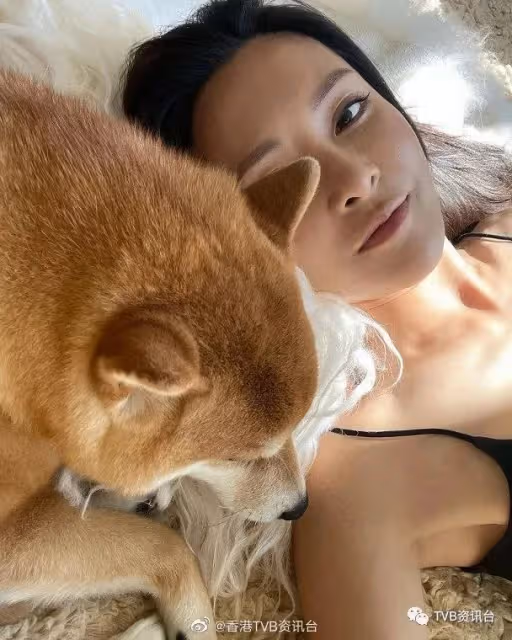 張曦雯出關曬小背心同愛犬重聚！網民：好想做她的小狗