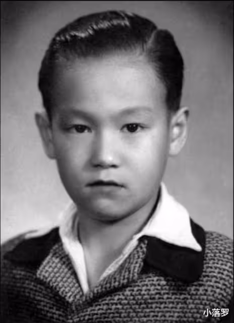 明星小時候照片:張國榮梅艷芳、成龍鄧麗君、謝霆鋒王菲、李小龍、郭德綱