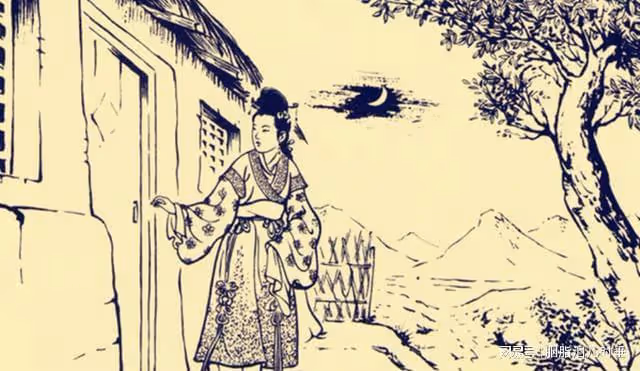 離奇故事:美婦救下少年,從此夜夜噩夢,道士:你不該砍樹