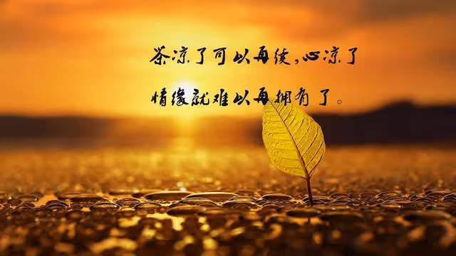 莫科:領證5個月後妻子離世,這輩子,岳父岳母永遠都是我的爸媽