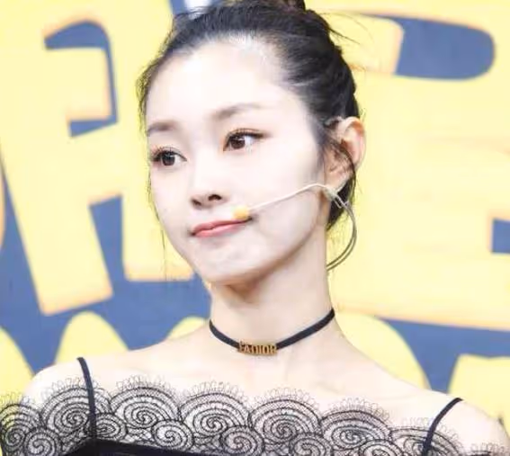 宋軼的十年上位史，萬年女配終成女主角