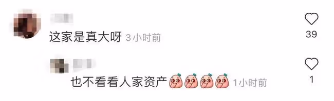奚夢瑤產後陪兒子裝飾聖誕樹,兩個保姆一起幫忙,超大客廳好敞亮