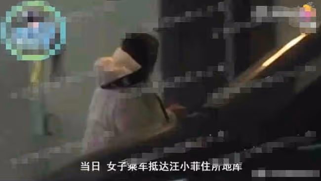 扒叔大爆料:汪小菲婚內出軌大S的瓜?雪梨舉報薇婭內幕?南洋炮王私生女的料?