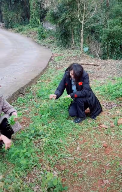 51歲跳水皇后接地氣!打扮樸素親自下田割菜,素顏出鏡似凍齡