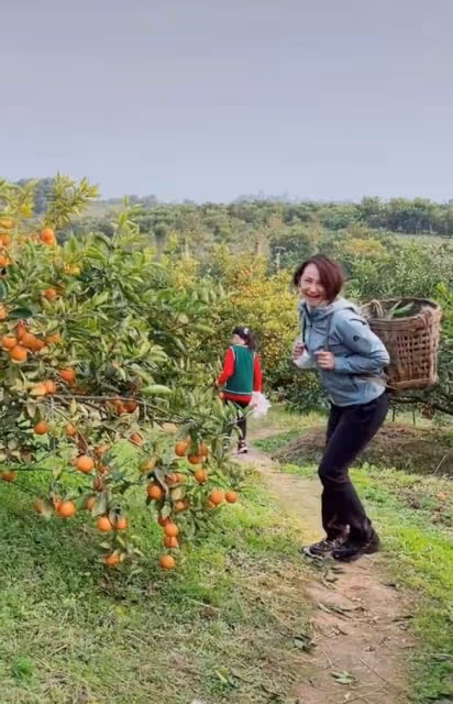 51歲跳水皇后接地氣!打扮樸素親自下田割菜,素顏出鏡似凍齡