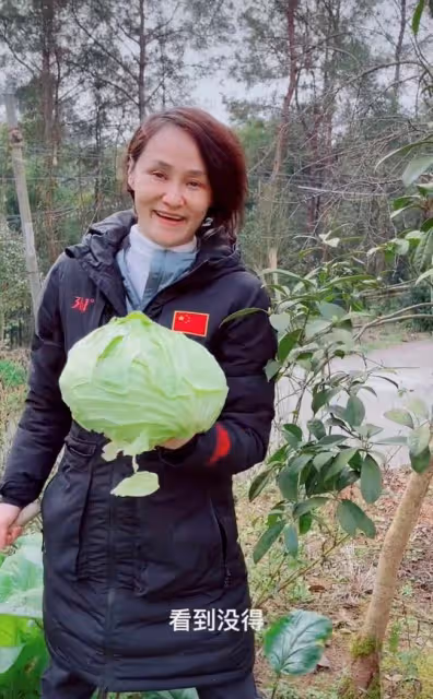 51歲跳水皇后接地氣!打扮樸素親自下田割菜,素顏出鏡似凍齡
