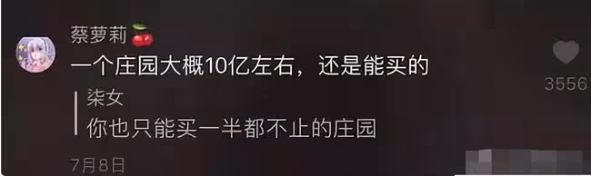 「女版王思聰」蔡蘿莉翻車！直播掉美顏嚇退粉絲，走紅全靠擦邊？