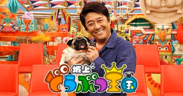 緊急事態宣言解除後,日本動物類電視節目激增