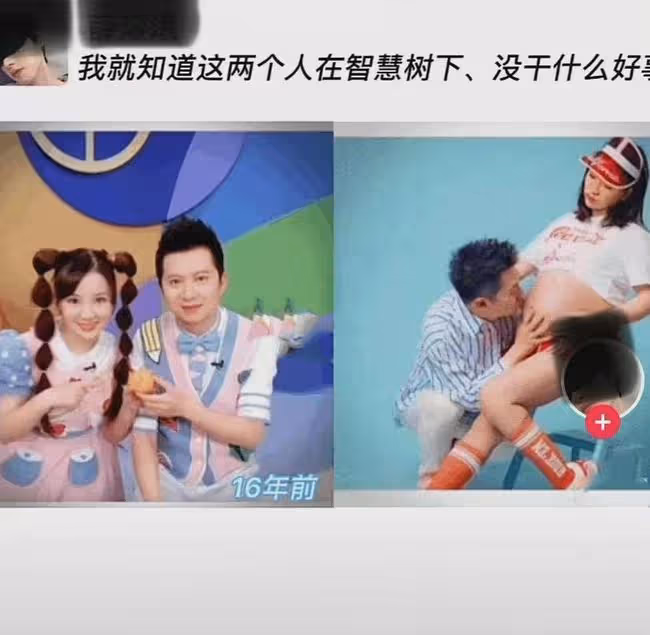 央視名主持回懟網友!高齡懷孕生子被調侃成低俗玩笑,直言太過分