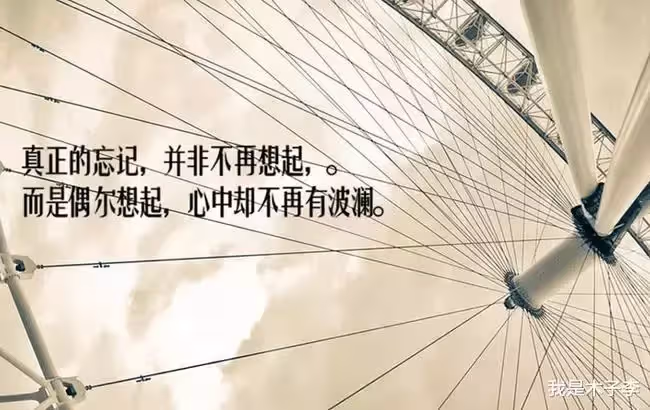 兒子考上大學那年,丈夫和我離婚,如今我倆退休了,丈夫又想復婚