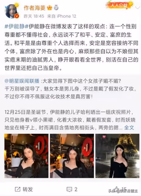 伊能靜遭知名博主實名舉報，來大陸只為圈錢，兒子更是「斷背山」