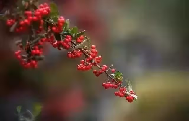 58歲阿姨感嘆:找老伴兒只提一個條件,為什麼都沒有人願意接受呢