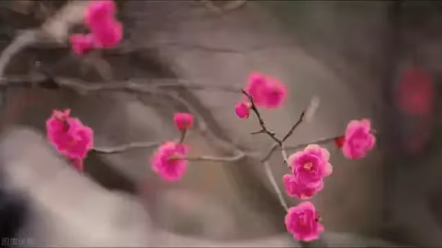 58歲阿姨感嘆:找老伴兒只提一個條件,為什麼都沒有人願意接受呢