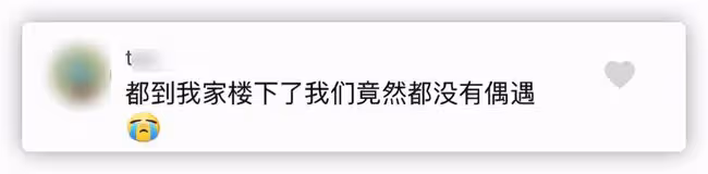 40歲港星回汕尾老家,和家人探望102歲婆婆,逛路邊攤被求偶遇
