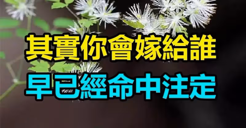 不管你信不信「你會嫁給誰」其實早已經命中注定　「過得好的女人」更懂得怎麽爲自己選擇！