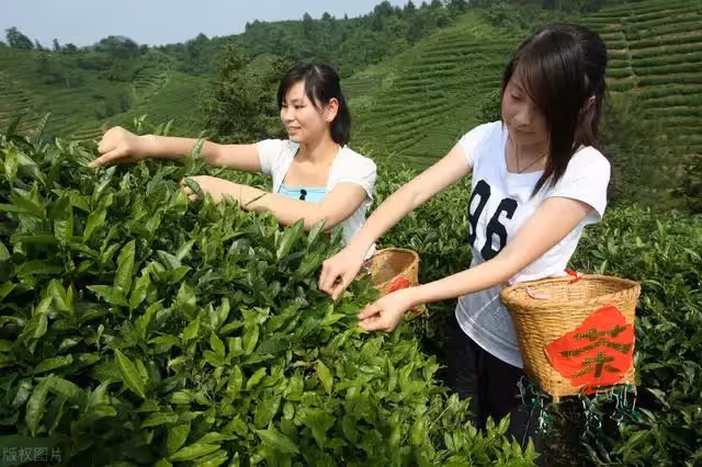母親到兒子家住經常要錢花,被兒媳趕走,到了女兒家,母親卻送錢