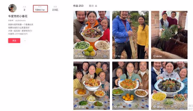 同樣是農村網紅，為何牛愛芳的小春花被批，桃子姐卻獲央視力挺？