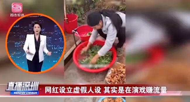 同樣是農村網紅，為何牛愛芳的小春花被批，桃子姐卻獲央視力挺？
