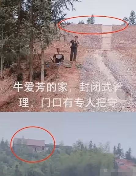 同樣是農村網紅，為何牛愛芳的小春花被批，桃子姐卻獲央視力挺？