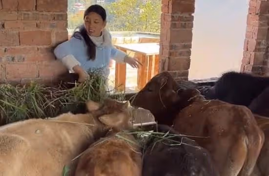 同樣是農村網紅，為何牛愛芳的小春花被批，桃子姐卻獲央視力挺？