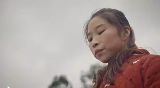 同樣是農村網紅，為何牛愛芳的小春花被批，桃子姐卻獲央視力挺？