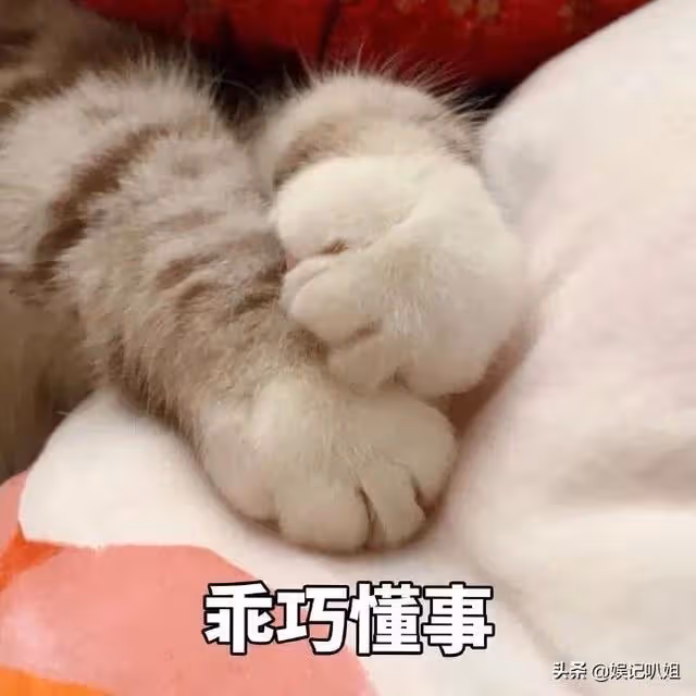 (一)彎姐系列之彎姐出身的故事?
