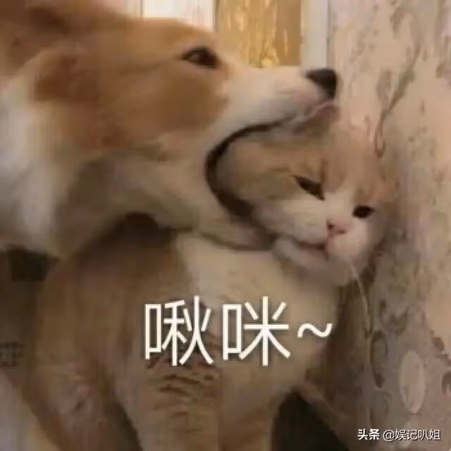 (一)彎姐系列之彎姐出身的故事?