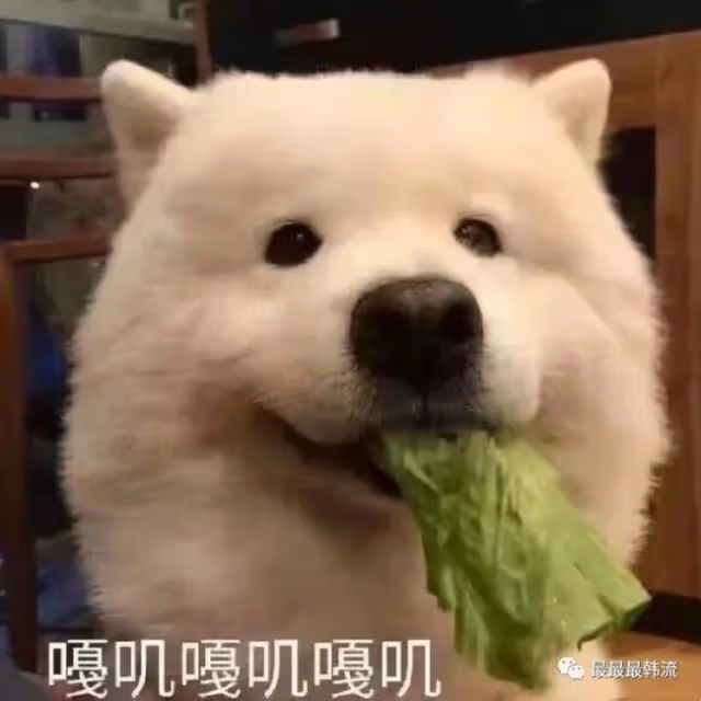 我準備好了!