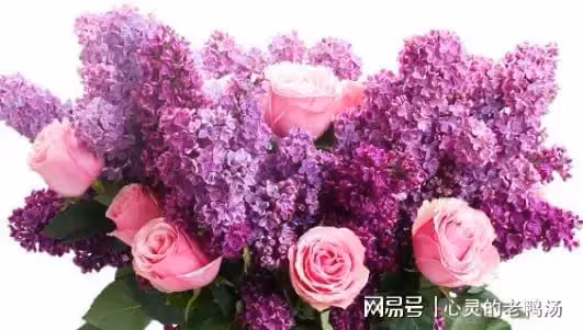 「老公，我弟離婚了，孩子3歲，你不養誰養」丈夫：那我們也離婚