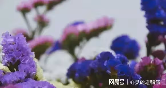 「老公，我弟離婚了，孩子3歲，你不養誰養」丈夫：那我們也離婚
