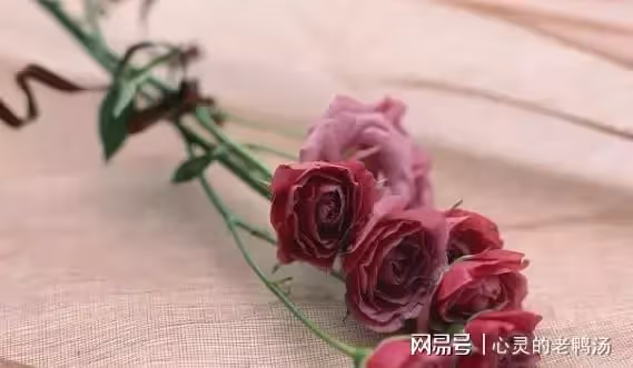 「老公,我弟離婚了,孩子3歲,你不養誰養」丈夫:那我們也離婚