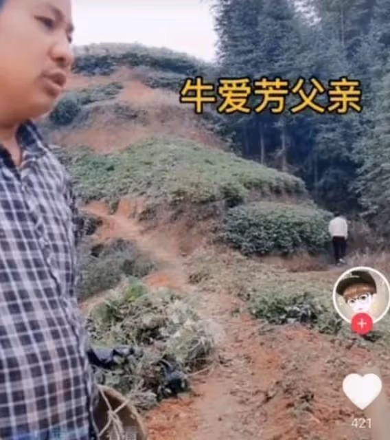 2000萬網紅牛愛芳的小春花的「翻車記」