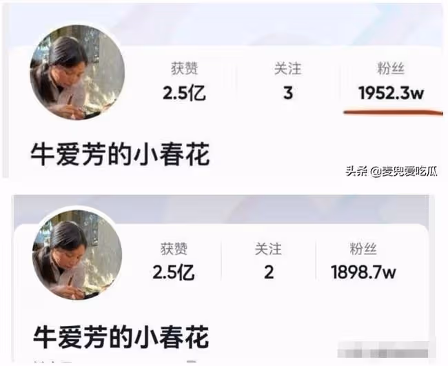 比起牛愛芳春花的人設崩塌，蜀中桃子姐的清醒與真實，真叫人佩服